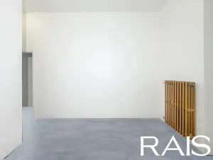 Prodej obchodního prostoru, Brno, 41 m2