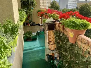 Prodej bytu 3+kk, Most, Lipová, 74 m2