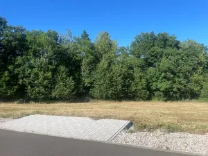 Prodej pozemku pro bydlení, Buš, 1284 m2