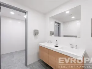 Pronájem kanceláře, Praha - Nusle, Doudlebská, 250 m2