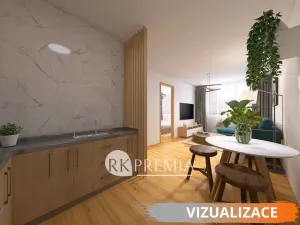 Prodej bytu 2+kk, Teplice - Trnovany, Trnovanská, 47 m2