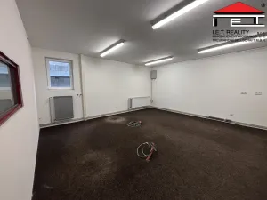 Pronájem výrobních prostor, Frýdek-Místek - Skalice, 260 m2