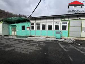 Pronájem výrobních prostor, Frýdek-Místek - Skalice, 260 m2