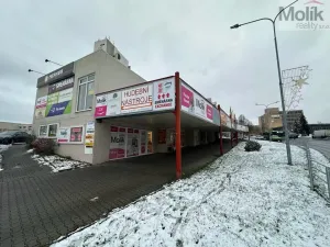 Pronájem obchodního prostoru, Most, Moskevská, 41 m2