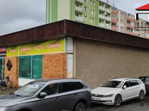 Pronájem obchodního prostoru, Valašské Meziříčí, Králova, 177 m2