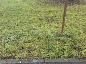 Prodej zahrady, Náklo - Lhota nad Moravou, 341 m2