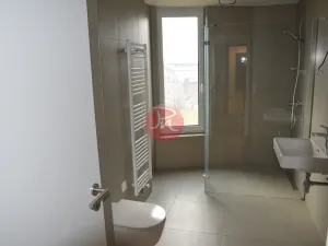 Pronájem bytu 2+kk, Ostrava, F. X. Riepla, 54 m2