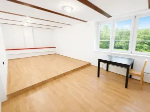 Pronájem pokoje, Praha - Smíchov, Radlická, 19 m2