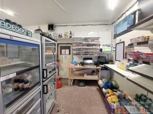 Pronájem obchodního prostoru, Krnov - Pod Bezručovým vrchem, Bruntálská, 60 m2