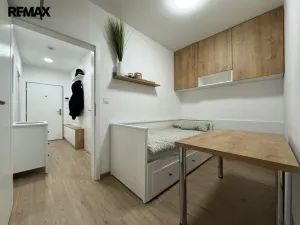 Pronájem bytu 1+kk, Olomouc, Camilla Sitteho, 31 m2