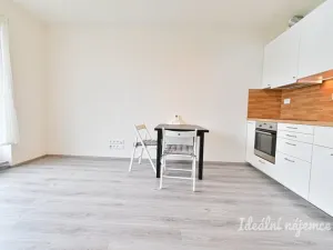 Pronájem bytu 1+kk, Brno - Sadová, Moskalykova, 41 m2
