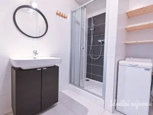 Pronájem bytu 1+kk, Brno - Sadová, Moskalykova, 41 m2