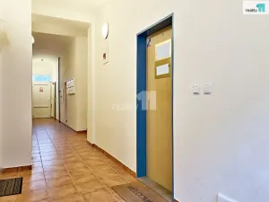 Prodej kanceláře, Plzeň - Východní Předměstí, Rubešova, 65 m2