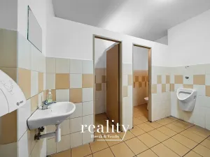 Prodej vícegeneračního domu, Dobšice, Lahoferova, 797 m2