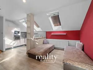 Prodej vícegeneračního domu, Dobšice, Lahoferova, 797 m2