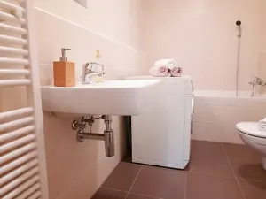 Pronájem bytu 1+kk, Brno, Šemberova, 51 m2