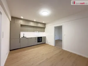 Pronájem bytu 2+kk, Ústí nad Labem, Resslova, 42 m2