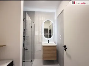 Pronájem bytu 2+kk, Ústí nad Labem, Resslova, 42 m2