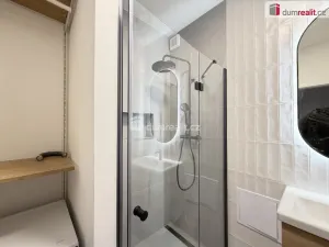 Pronájem bytu 2+kk, Ústí nad Labem, Resslova, 42 m2