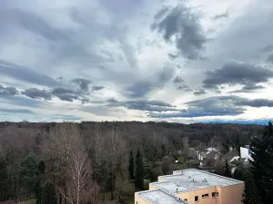 Prodej bytu 1+1, Orlová, Lesní, 37 m2