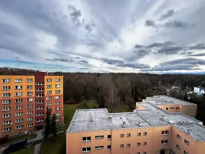 Prodej bytu 1+1, Orlová, Lesní, 37 m2