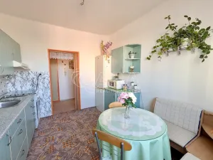 Prodej bytu 2+1, Přeštice, Červenkova, 64 m2