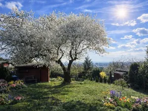 Prodej zahrady, Kutná Hora, 444 m2