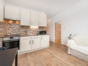 Pronájem bytu 1+1, Liberec - Liberec III-Jeřáb, Vaňurova, 37 m2