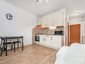 Pronájem bytu 1+1, Liberec - Liberec III-Jeřáb, Vaňurova, 37 m2