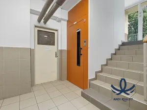 Pronájem bytu 1+1, Mladá Boleslav, Jana Palacha, 40 m2