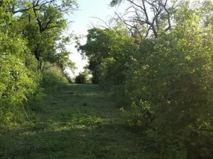 Prodej zahrady, Brno - Židenice, 1227 m2