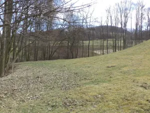 Prodej pole, Heřmanov - Fojtovice, 4633 m2