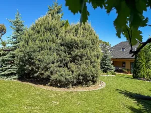 Prodej rodinného domu, Těmice, 252 m2