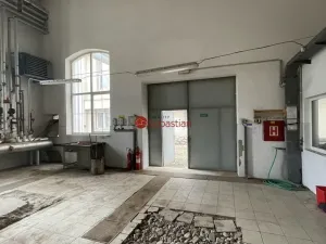 Pronájem komerční nemovitosti, Pelhřimov, Křemešnická, 185 m2