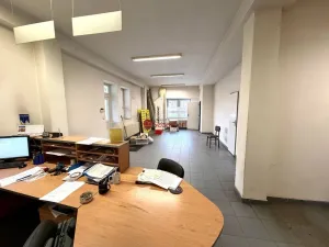 Pronájem výrobních prostor, Pelhřimov, Křemešnická, 530 m2