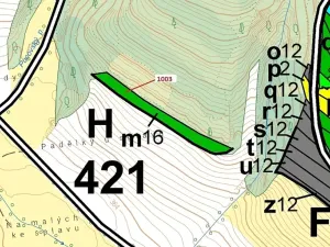 Dražba lesa, Náměšť nad Oslavou, 3001 m2