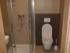 Prodej bytu 1+kk, Hranice, Pod Nemocnicí, 36 m2