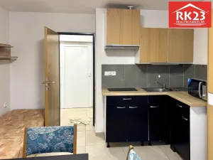 Pronájem bytu 1+kk, Mariánské Lázně - Úšovice, Palackého, 22 m2