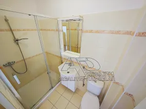 Pronájem bytu 2+1, České Budějovice, L. B. Schneidera, 54 m2