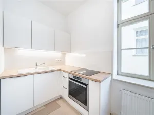 Pronájem bytu 1+1, Plzeň - Vnitřní Město, Veleslavínova, 38 m2