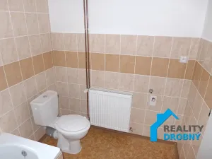 Pronájem bytu 1+1, Děčín, Družstevní, 37 m2