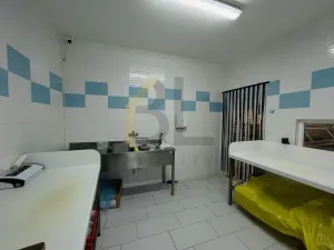 Pronájem obchodního prostoru, Hodonín, Slavíkova, 122 m2