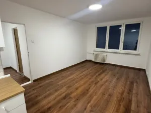Pronájem bytu 2+kk, Litvínov - Janov, Kopistská, 40 m2