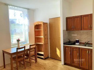 Pronájem bytu 1+kk, Brandýs nad Labem-Stará Boleslav - Stará Boleslav, Na dolíku, 30 m2