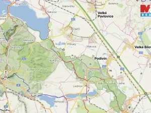 Prodej pole, Přítluky - Nové Mlýny, 3119 m2