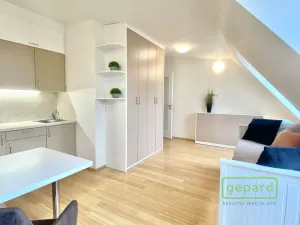 Pronájem bytu 1+kk, Dobřichovice, Anežky České, 30 m2