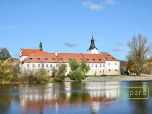 Pronájem bytu 1+kk, Dobřichovice, Anežky České, 30 m2