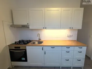 Pronájem bytu 2+1, Most, Petra Jilemnického, 54 m2