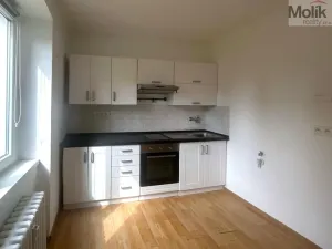 Pronájem bytu 1+1, Most, Lesní, 30 m2