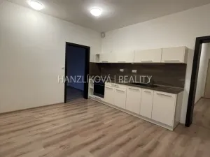 Pronájem bytu 2+kk, České Budějovice - České Budějovice 2, Volejbalistů, 46 m2